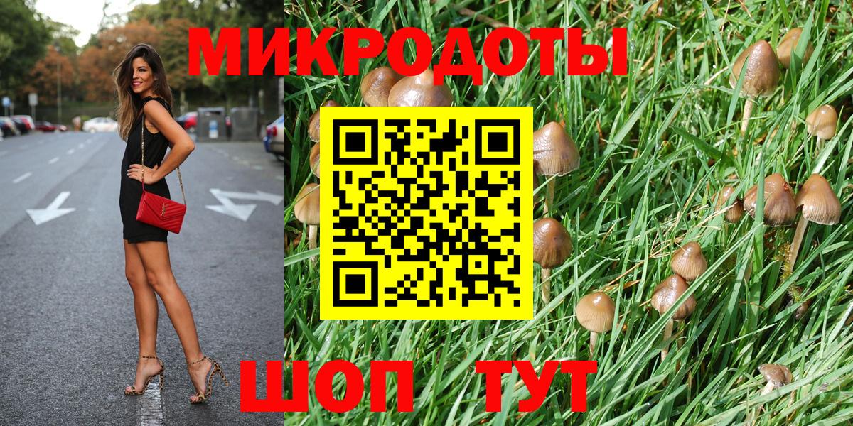 Псилоцибиновые грибы Cubensis Лыткарино