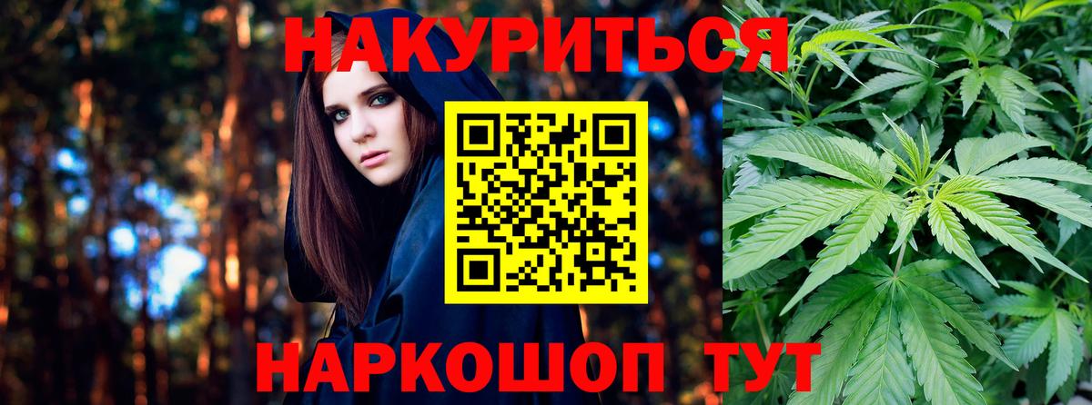 Шишки марихуана планчик Лыткарино